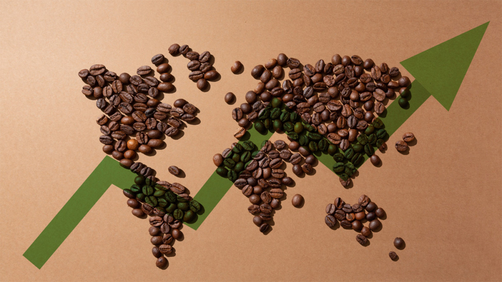 Kawa z całego świata – wyprawa przez regionalne smaki